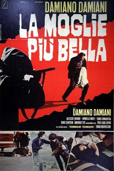 Самая красивая жена (1970)
